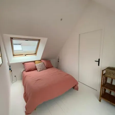 Adorable Appartement A Deux Pas De La Plage Dinard Exterior foto